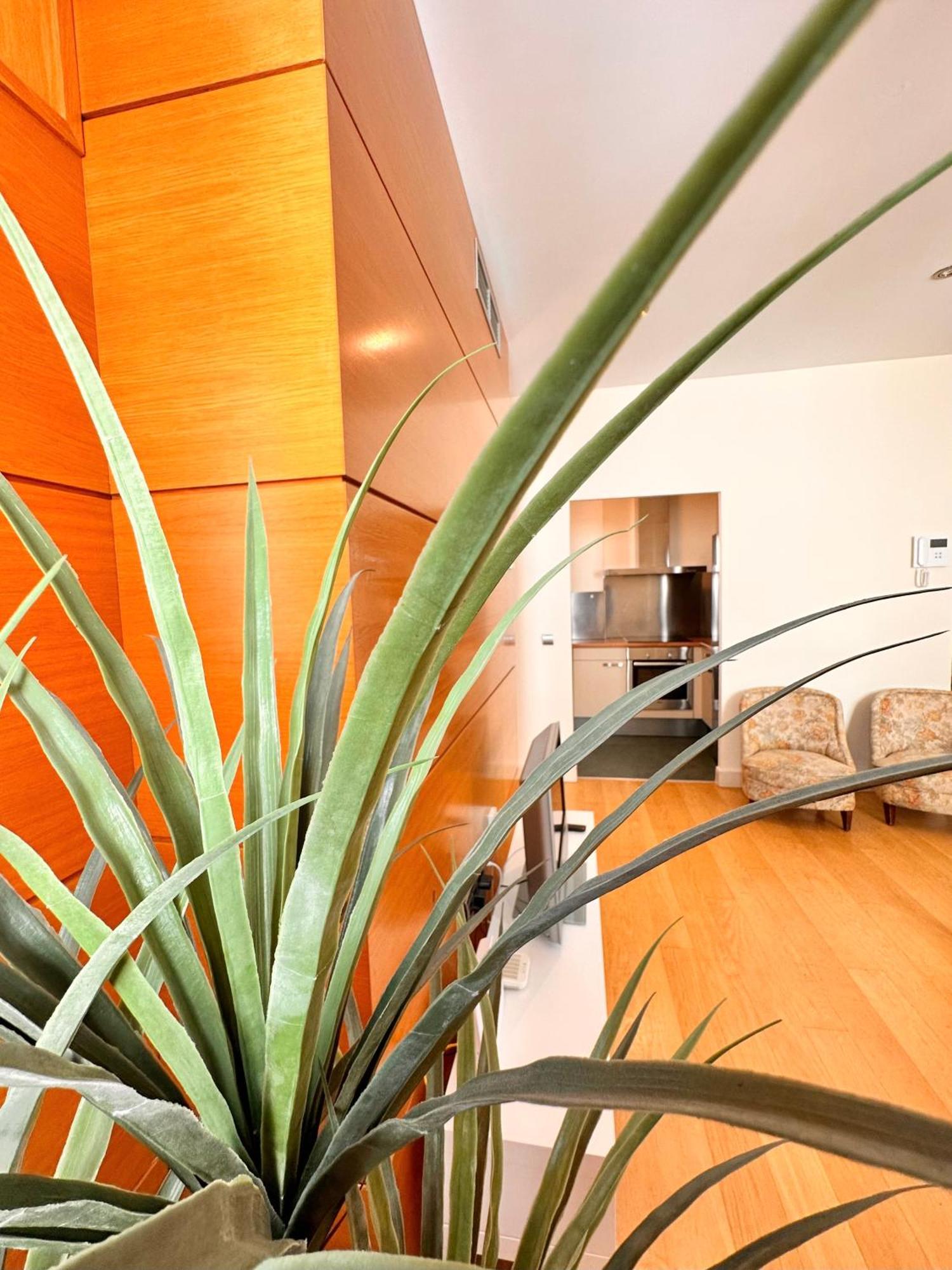 Penthouse Near Cathedral Private Rooftop Private Parking Seville Luaran gambar